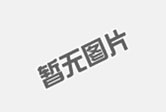 党徽设计中的艺术元素
